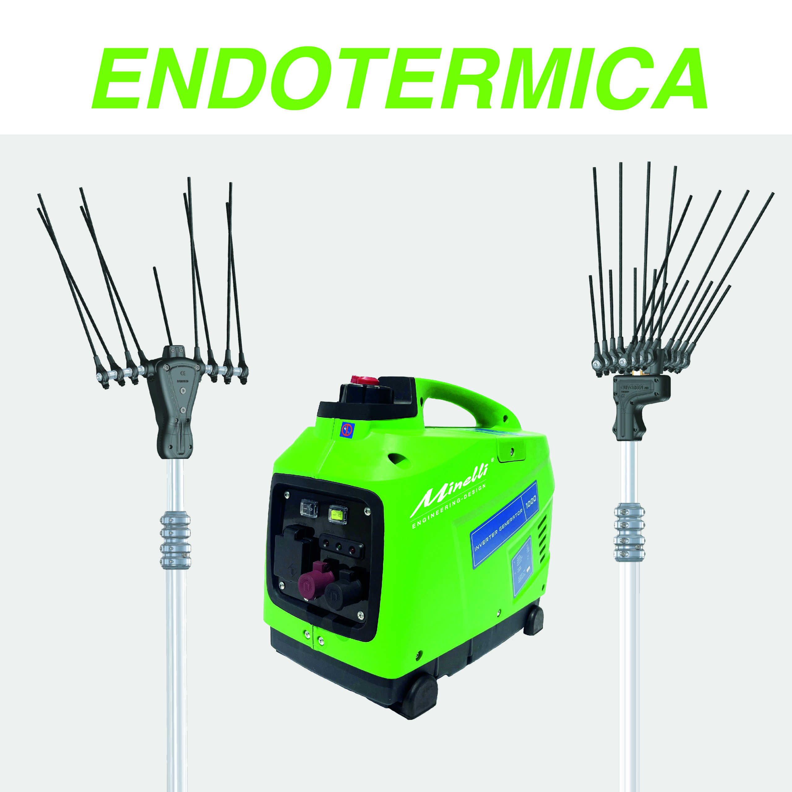 Endotermica