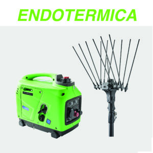 Endotermica