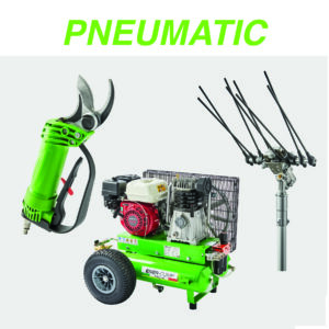 Pneumatic